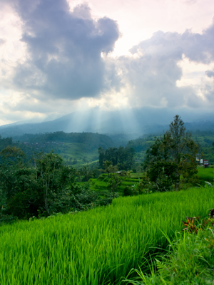 SCENERY mountain`SN 135